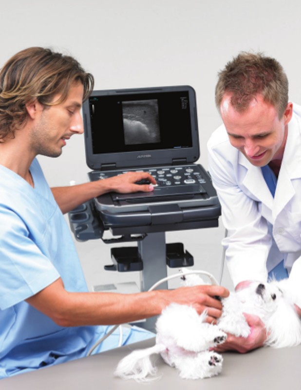 ECUBE i7 Veterinary Ultrasound