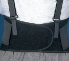 Coreback Support Belt